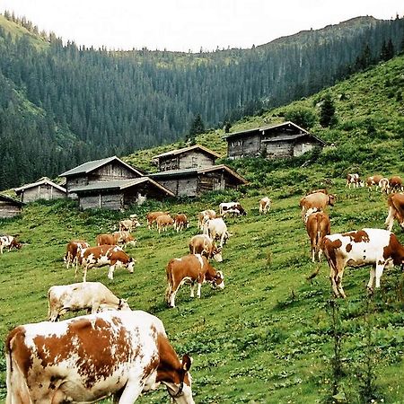 Pension Enzian Нийдерау Екстериор снимка
